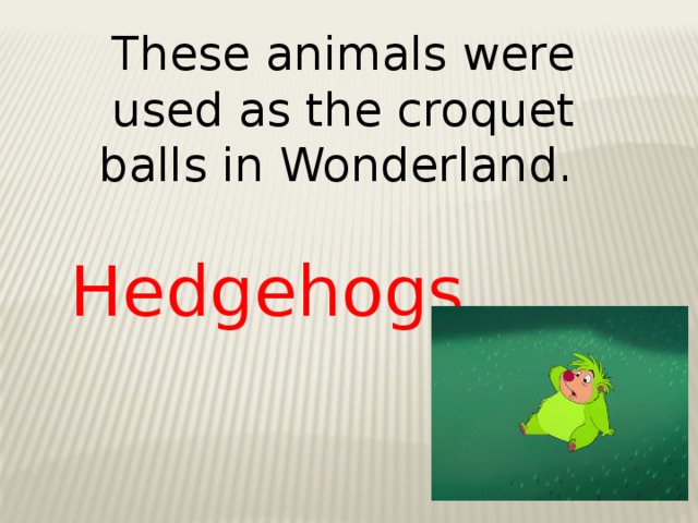 These animals were used as the croquet balls in Wonderland. Hedgehogs