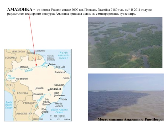 АМАЗОНКА - от истока Укаяли свыше 7000 км. Площадь бассейна 7180 тыс. км². В 2011 году по результатам всемирного конкурса Амазонка признана одним из семи природных чудес мира. Место слияния Амазонки с Рио-Негро