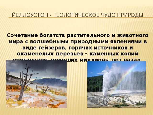 Йеллоустон - геологическое чудо природы Сочетание богатств растительного и животного мира с волшебными природными явлениями в виде гейзеров, горячих источников и окаменелых деревьев – каменных копий оригиналов, умерших миллионы лет назад .