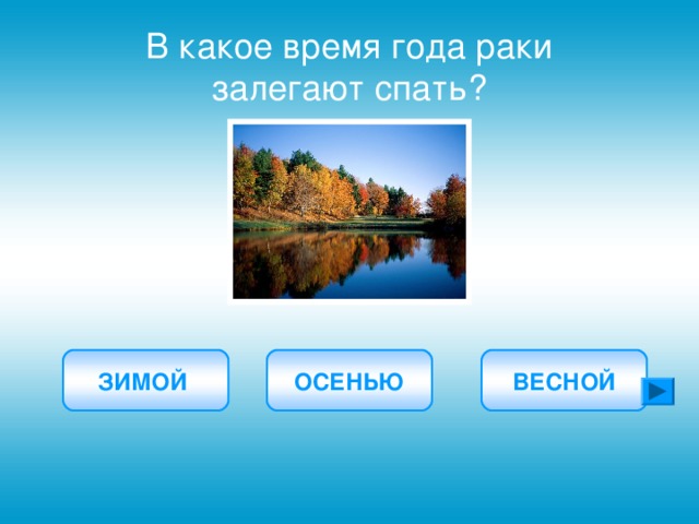 В какое время года раки залегают спать? ЗИМОЙ ОСЕНЬЮ ВЕСНОЙ