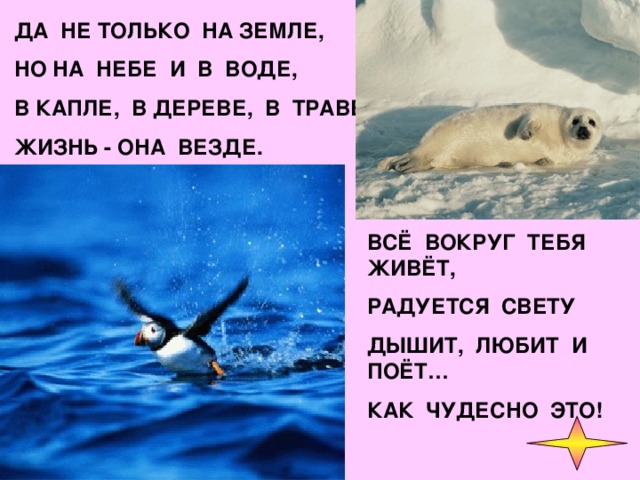 ДА НЕ ТОЛЬКО НА ЗЕМЛЕ, НО НА НЕБЕ И В ВОДЕ, В КАПЛЕ, В ДЕРЕВЕ, В ТРАВЕ ЖИЗНЬ - ОНА ВЕЗДЕ. ВСЁ ВОКРУГ ТЕБЯ ЖИВЁТ, РАДУЕТСЯ СВЕТУ ДЫШИТ, ЛЮБИТ И ПОЁТ… КАК ЧУДЕСНО ЭТО!