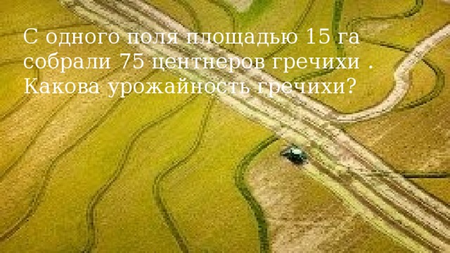 С одного поля площадью 15 га собрали 75 центнеров гречихи . Какова урожайность гречихи?