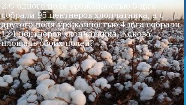 2.С одного поля урожайностью 5 цга собрали 95 центнеров хлопчатника, а с другого поля урожайностью 4 цга собрали 124 центнеров хлопчатника. Какова площадь обоих полей?