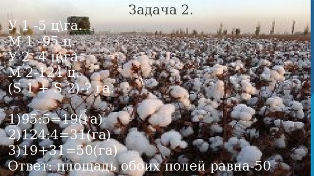 Задача 2. У 1 -5 цга. М 1 -95 ц. У 2 -4 цга. М 2-124 ц. (S 1 + S 2)-? га. 1)95:5=19(га) 2)124:4=31(га) 3)19+31=50(га) Ответ: площадь обоих полей равна-50 гектаров.