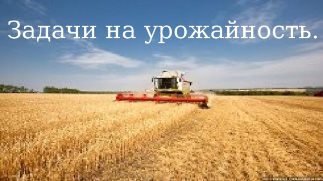 Задачи на урожайность.