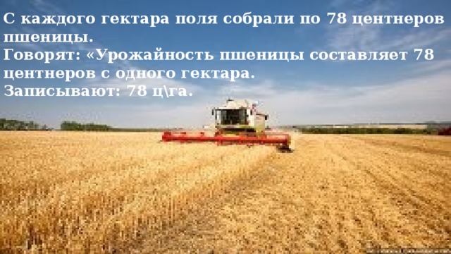 С каждого гектара поля собрали по 78 центнеров пшеницы. Говорят: «Урожайность пшеницы составляет 78 центнеров с одного гектара. Записывают: 78 цга.