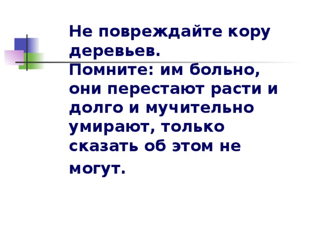 Не повреждайте кору деревьев.  Помните: им больно, они перестают расти и долго и мучительно умирают, только сказать об этом не могут.