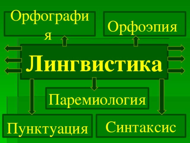 Орфоэпия  Орфография Лингвистика Паремиология Синтаксис Пунктуация