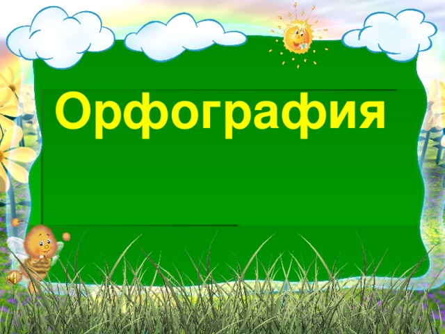 Орфография