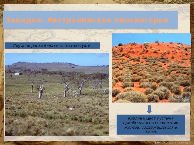 Западно- Австралийское плоскогорье Скудная растительность плоскогорья. Красный цвет пустыня приобрела из-за окисления железа, содержащегося в почве.