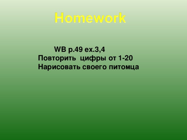 WB p.49 ex.3,4 Повторить цифры от 1-20 Нарисовать своего питомца