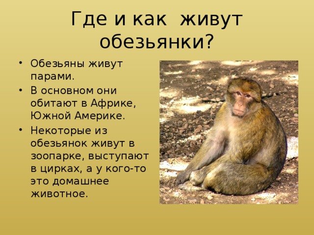 Тест по рассказу про обезьянку с ответами