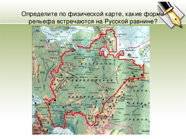 Определите по физической карте, какие формы рельефа встречаются на Русской равнине?