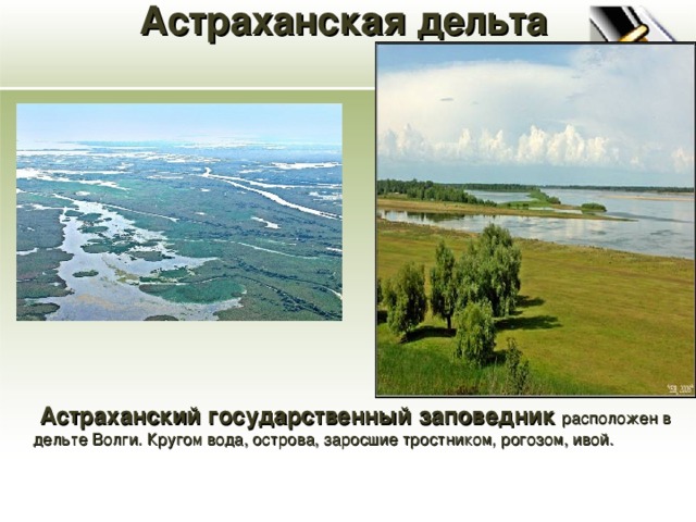 Астраханская дельта  Астраханский государственный заповедник расположен в дельте Волги. Кругом вода, острова, заросшие тростником, рогозом, ивой.