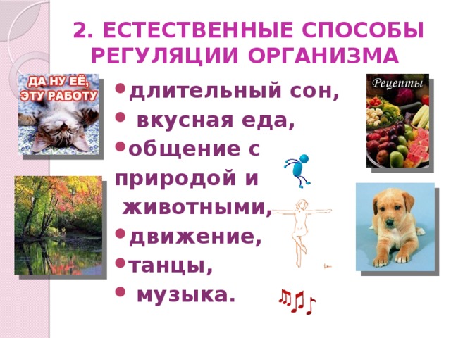 2. ЕСТЕСТВЕННЫЕ СПОСОБЫ  РЕГУЛЯЦИИ ОРГАНИЗМА  длительный сон,  вкусная еда, общение с природой и  животными,