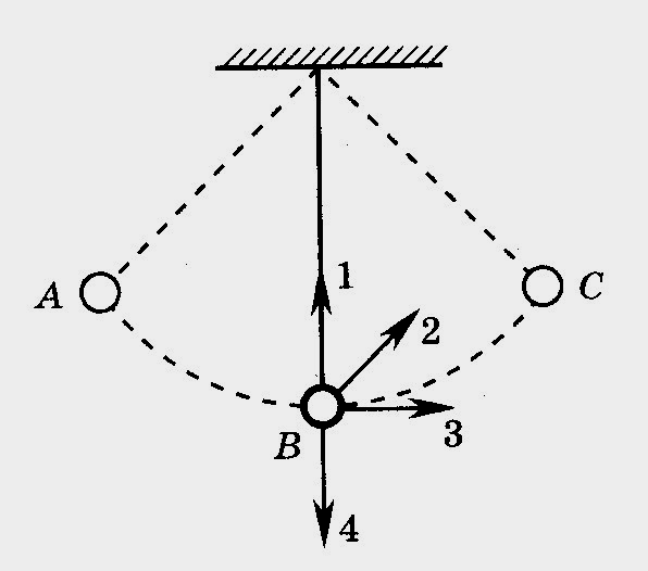 Математический маятник колеблется между положениями 1 и 3 см рисунок в положении 2