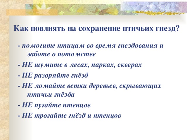 Как повлиять на сохранение птичьих гнезд? - помогите птицам во время гнездования и заботе о потомстве - НЕ шумите в лесах, парках, скверах - НЕ разоряйте гнёзд - НЕ ломайте ветки деревьев, скрывающих птичьи гнёзда - НЕ пугайте птенцов - НЕ трогайте гнёзд и птенцов