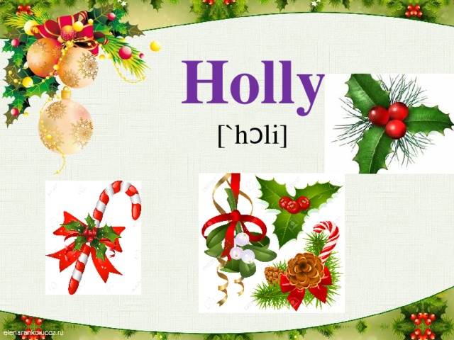 Holly [`hɔli]
