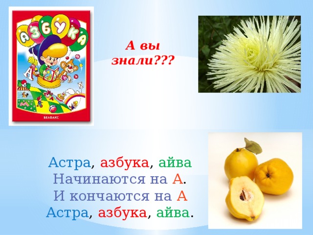 А вы знали??? Астра , азбука , айва Начинаются на А .  И кончаются на А  Астра , азбука , айва .