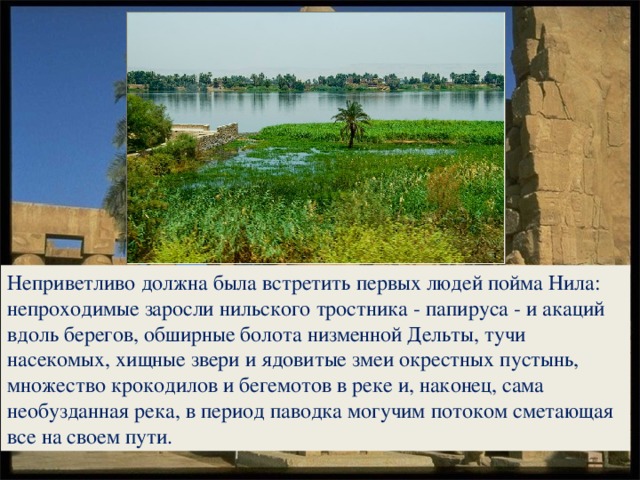 Неприветливо должна была встретить первых людей пойма Нила: непроходимые заросли нильского тростника - папируса - и акаций вдоль берегов, обширные болота низменной Дельты, тучи насекомых, хищные звери и ядовитые змеи окрестных пустынь, множество крокодилов и бегемотов в реке и, наконец, сама необузданная река, в период паводка могучим потоком сметающая все на своем пути.