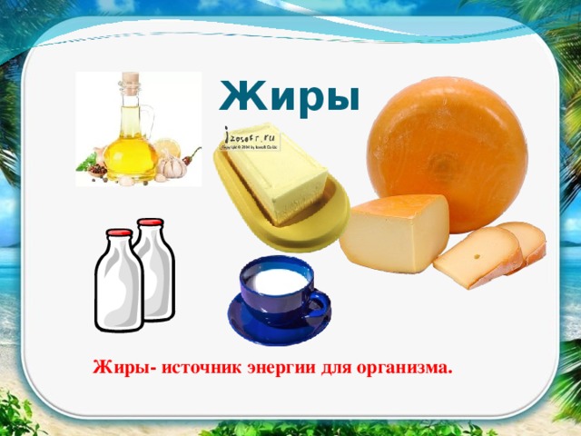 Жиры как продукт питания и химическое сырье презентация