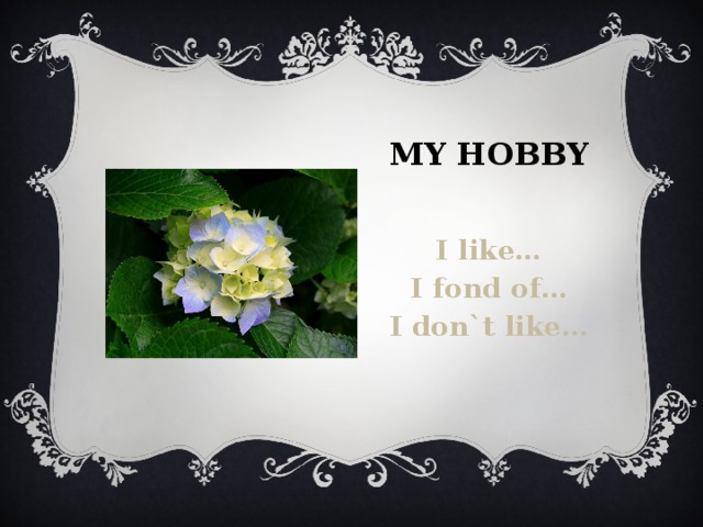 My hobby I like… I fond of… I don`t like…