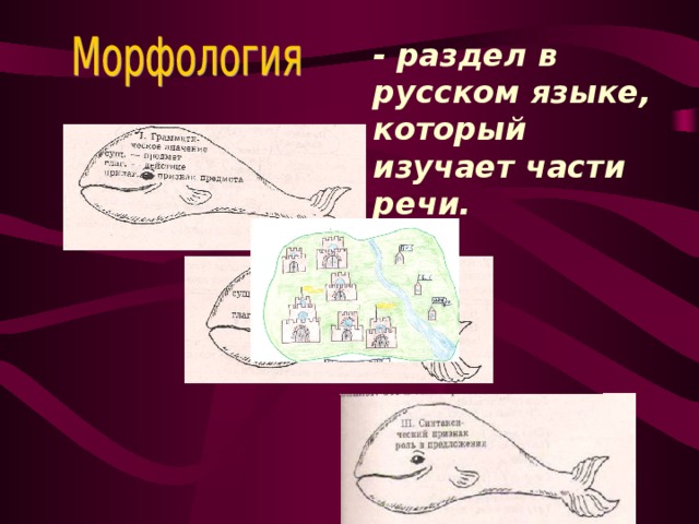 - раздел в русском языке, который изучает части речи.