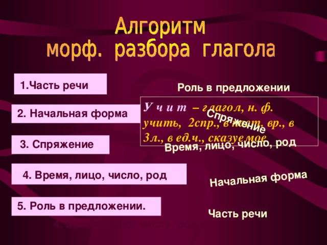 Начальная форма Спряжение Время, лицо, число, род  1. Часть  речи. 1.Часть речи Роль в предложении У ч и т – глагол, н. ф. учить, 2спр., в наст. вр., в 3л., в ед.ч., сказуемое 2. Начальная форма. 2. Начальная форма 3. Спряжение. 3. Спряжение  4. Время, лицо, число ., род 4. Время, лицо, число, род  5. Роль в предложении. 5. Роль в предложении. Часть речи 4. Время, лицо, число. род