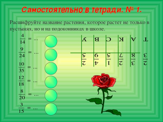 Расшифруйте название растения, которое растет не только в пустынях, но и на подоконниках в школе.