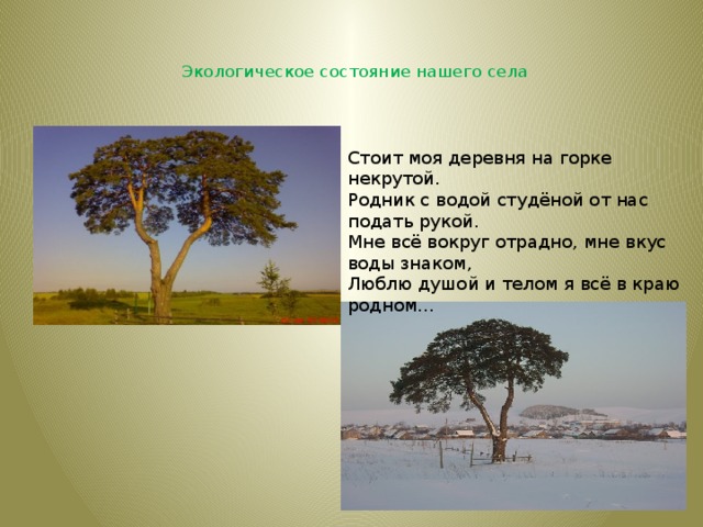 Экологическое состояние нашего села   Стоит моя деревня на горке некрутой.  Родник с водой студёной от нас подать рукой.  Мне всё вокруг отрадно, мне вкус воды знаком,  Люблю душой и телом я всё в краю родном…