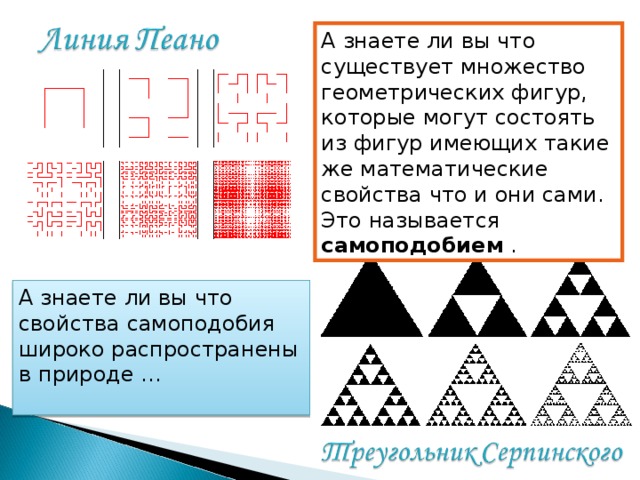 А знаете ли вы что существует множество геометрических фигур, которые могут состоять из фигур имеющих такие же математические свойства что и они сами. Это называется самоподобием . А знаете ли вы что свойства самоподобия широко распространены в природе …