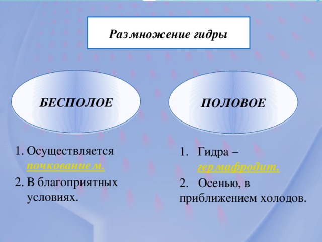 Ответная реакция организма гидры на такое раздражение – это пример безусловного рефлекса.