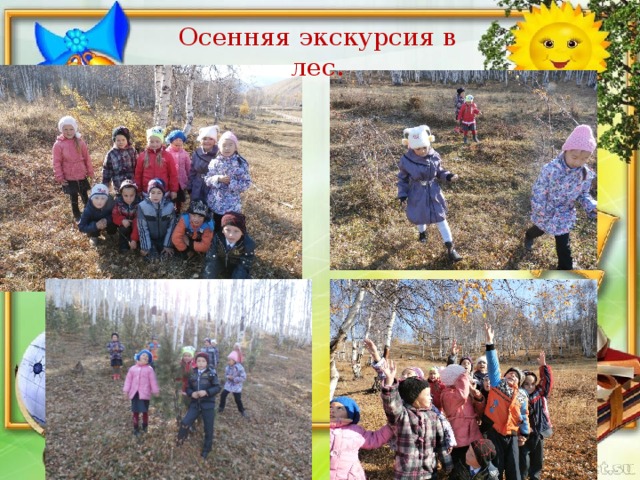 Осенняя экскурсия в лес.