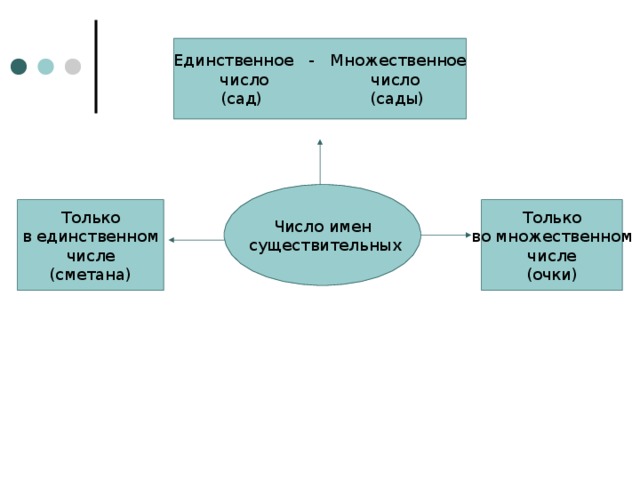 Единственное - Множественное число число  (сад) (сады) Число имен  существительных Только  в единственном числе (сметана) Только во множественном числе (очки)