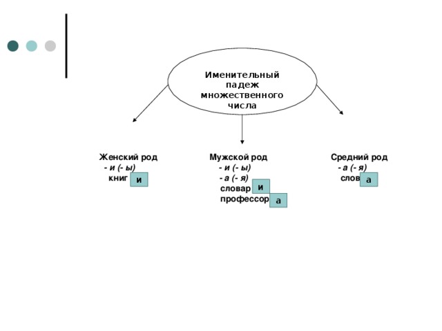 Женский род  Мужской род Средний род   - и (- ы)  - и (- ы)  - а (- я)  книг   - а (- я) слов  словар   профессор    Именительный падеж множественного числа и а и а