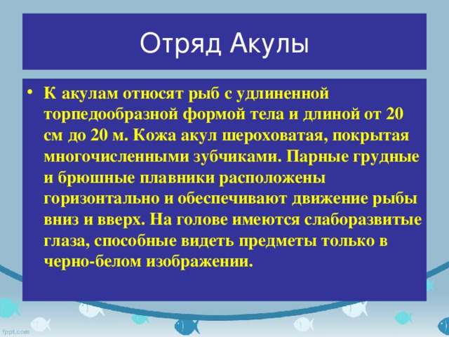 Отряд Акулы