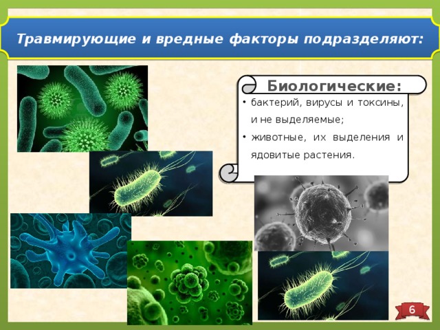 Травмирующие и вредные факторы подразделяют: Биологические: