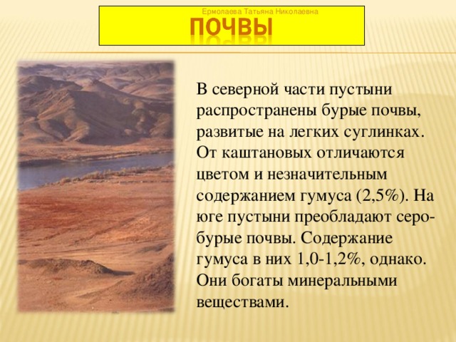 Ермолаева Татьяна Николаевна В северной части пустыни распространены бурые почвы, развитые на легких суглинках. От каштановых отличаются цветом и незначительным содержанием гумуса (2,5%). На юге пустыни преобладают серо-бурые почвы. Содержание гумуса в них 1,0-1,2%, однако. Они богаты минеральными веществами.