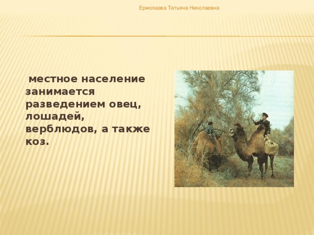 Ермолаева Татьяна Николаевна   местное население занимается разведением овец, лошадей, верблюдов, а также коз.