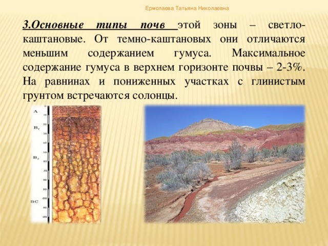 Ермолаева Татьяна Николаевна 3.Основные типы почв этой зоны – светло-каштановые. От темно-каштановых они отличаются меньшим содержанием гумуса. Максимальное содержание гумуса в верхнем горизонте почвы – 2-3%. На равнинах и пониженных участках с глинистым грунтом встречаются солонцы.