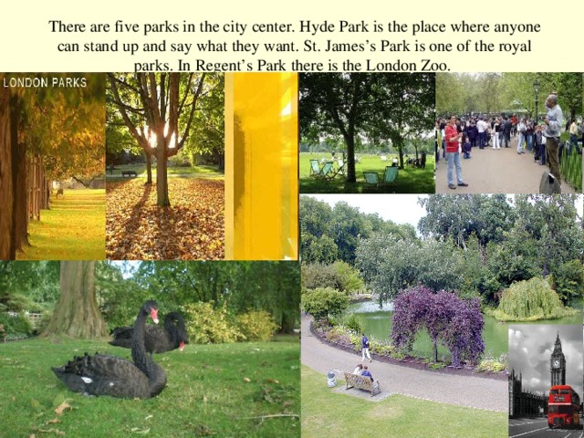 There are five parks in the city center. Hyde Park is the place where anyone can stand up and say what they want. St. James’s Park is one of the royal parks. In Regent’s Park there is the London Zoo.
