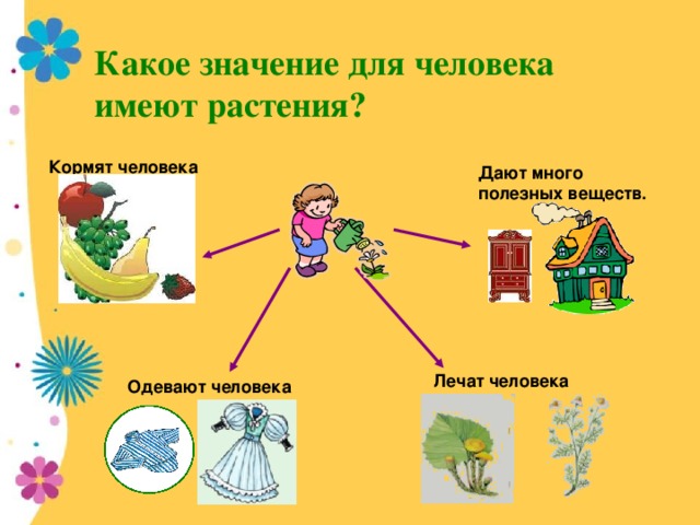 Схема что дают растения человеку 3 класс