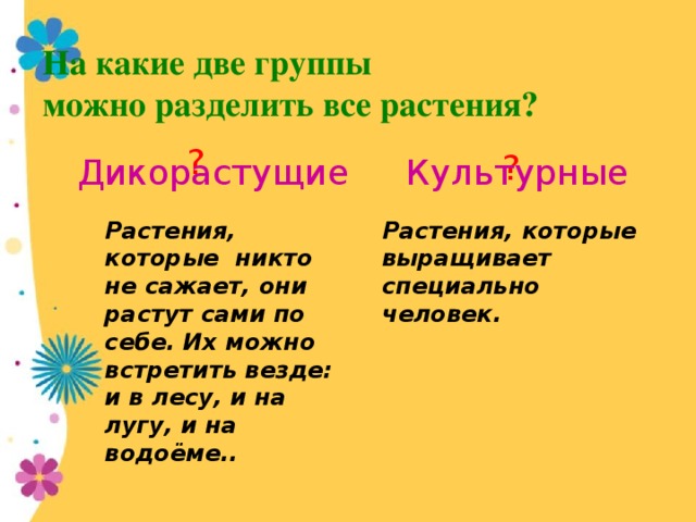 На какие две группы можно разделить все растения? ? ? Культурные Дикорастущие Растения, которые выращивает специально человек. Растения, которые никто не сажает, они растут сами по себе. Их можно встретить везде: и в лесу, и на лугу, и на водоёме..