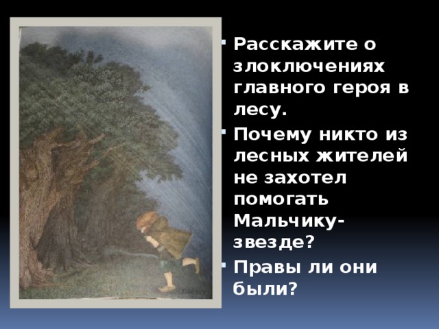 Расскажите о злоключениях главного героя в лесу. Почему никто из лесных жителей не захотел помогать Мальчику-звезде? Правы ли они были?