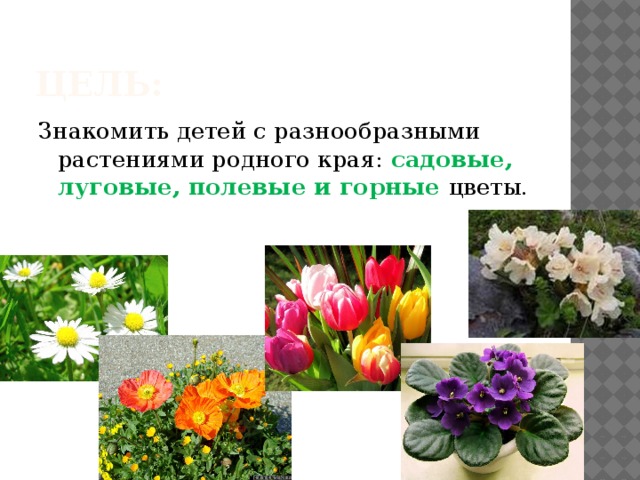Цель: Знакомить детей с разнообразными растениями родного края: садовые, луговые, полевые и горные цветы.