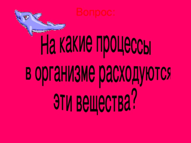 Вопрос: