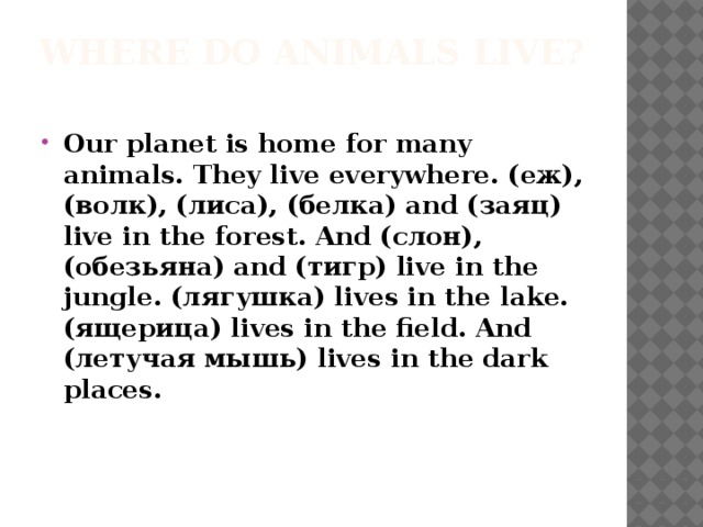 Where do animals live?
