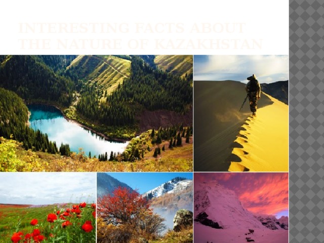 Interesting facts about the nature of Kazakhstan
