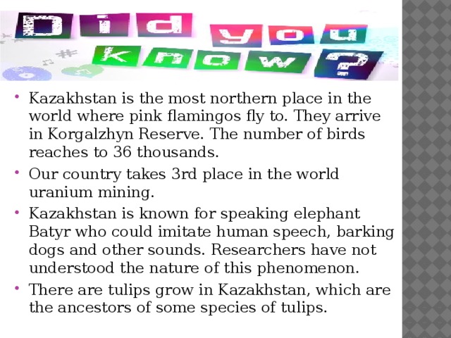 Kazakhstan is the most northern place in the world where pink flamingos fly to. They arrive in Korgalzhyn Reserve. The number of birds reaches to 36 thousands. Our country takes 3rd place in the world uranium mining. Kazakhstan is known for speaking elephant Batyr who could imitate human speech, barking dogs and other sounds. Researchers have not understood the nature of this phenomenon. There are tulips grow in Kazakhstan, which are the ancestors of some species of tulips.