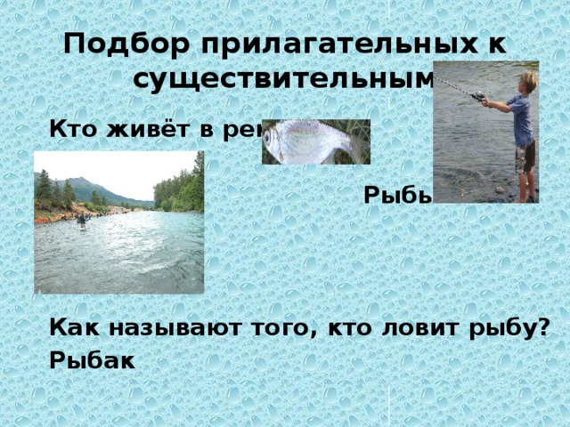 Подбор прилагательных к существительным Кто живёт в реке?   Рыбы    Как называют того, кто ловит рыбу? Рыбак